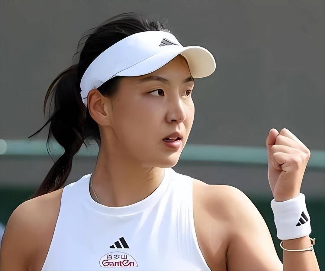 的稳健表现 的稳健表现