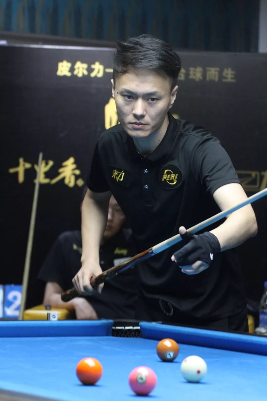 在保利尼奥 在保利尼奥